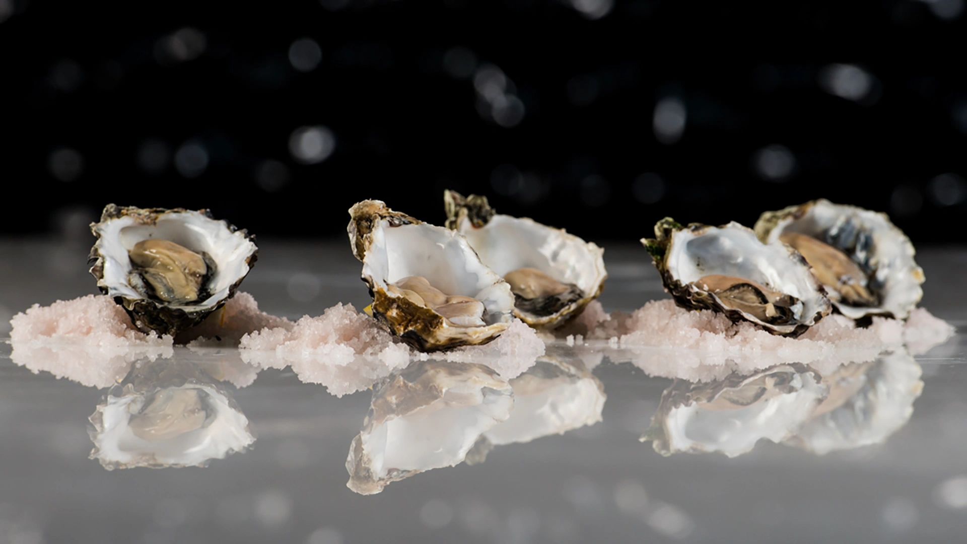 Oysters on the half shell food Photography